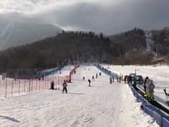 -亚布力新体委滑雪场