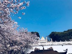 -苏州上方山国家森林公园
