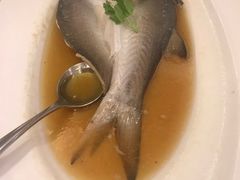 海鲈鱼-宝燕海鲜(好爱店)