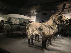 -秦始皇帝陵博物院-丽山园