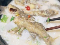 -华新胖子鱼粉(衡阳总店)