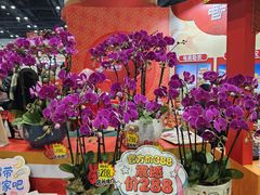 -南宁国际会展中心