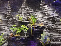 -川味轩火锅(仁和路店)