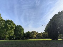-南汇新城城市公园
