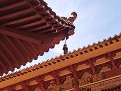 -深圳仙湖植物园