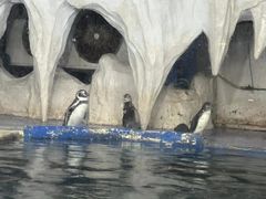 -太平洋海底世界