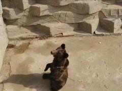 -哈尔滨北方森林动物园