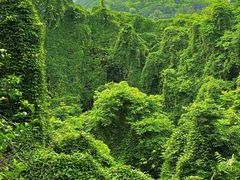 -吴山景区