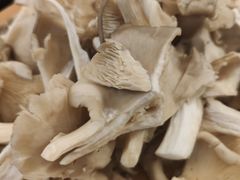 蘑菇-龍歌自助小火锅(崂山丽达店)