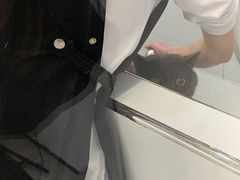 -comecome来吧宠物(奥克斯中心店)