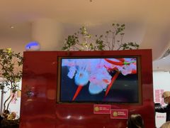 -老板恋上鱼(恒隆广场店)