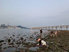 -黑石礁公园