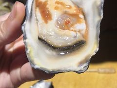 -囧吉香生蚝牛排馆(湖北路店)