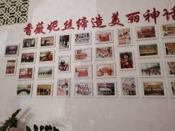 -香薇妮丝·定制减肥·身材管理