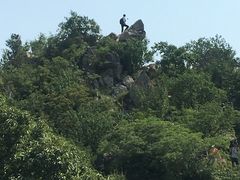 -北京鹫峰国家森林公园