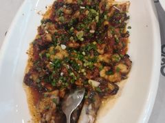 吻鱼-岭南海晏楼(东晓南店)