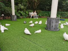-成都欢乐谷