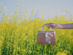 -光明小镇欢乐田园