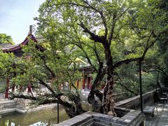 -华清宫景区