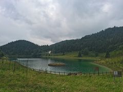 -武陵山森林公园