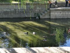 -元大都城垣遗址公园