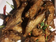 -日丰园海肠水饺·老字号大连海鲜(和平广场店)