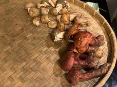 -滇野云南野生菌餐厅(陕西南路店)