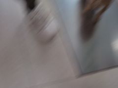 -瑞派福兴宠物医院犬猫全科·骨科·中西医结合(河东店)