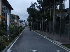 -三圣花乡旅游区