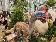 -沈阳植物园
