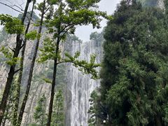 -刘伯温故里景区百丈漈