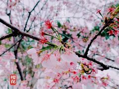 -静安雕塑公园