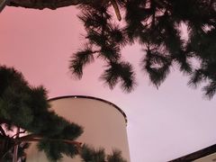 -桂满陇·蟹黄小笼汤包(中山公园店)
