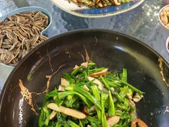 -阿巧茶庄