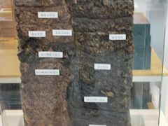 -南越王博物院(王宫展区)