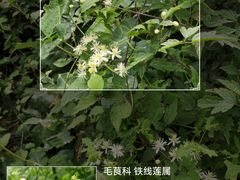 -北京凤凰岭