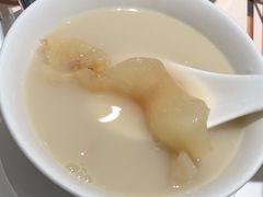 花胶鸡锅底-协成海鲜火锅(海洋花园店)