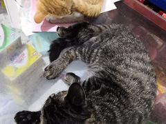 -中广汪海国际影城