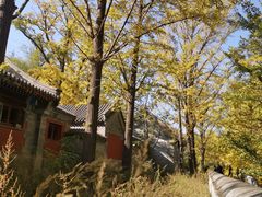 -阳台山自然风景区