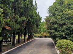 -东平国家森林公园