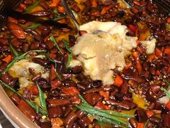 -红辣椒·川菜·火锅(张杨路店)