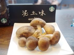 -星巴克(厦门SM新生活广场店)
