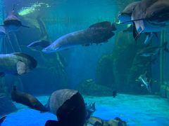 -多彩贵州城极地海洋世界