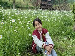 -黄海国家森林公园