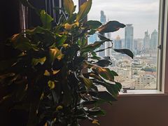 -上海新锦江大酒店