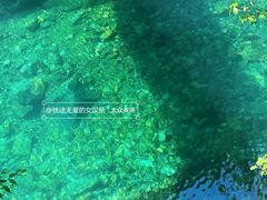 -大奇山国家森林公园