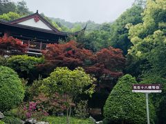 -十八棵（老龙井）御茶园(老龙井店)