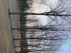 -北坞公园