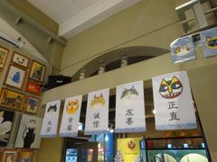 -猫咪博物馆(顶澳仔猫街店)