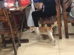 -醒醒田螺(金奖总店)